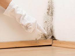 Best Water Damage & Mold Remediation  in La Cresta, CA